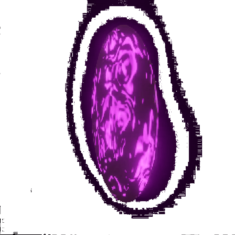 WPPortal-ezgif.com-effects (1).gif