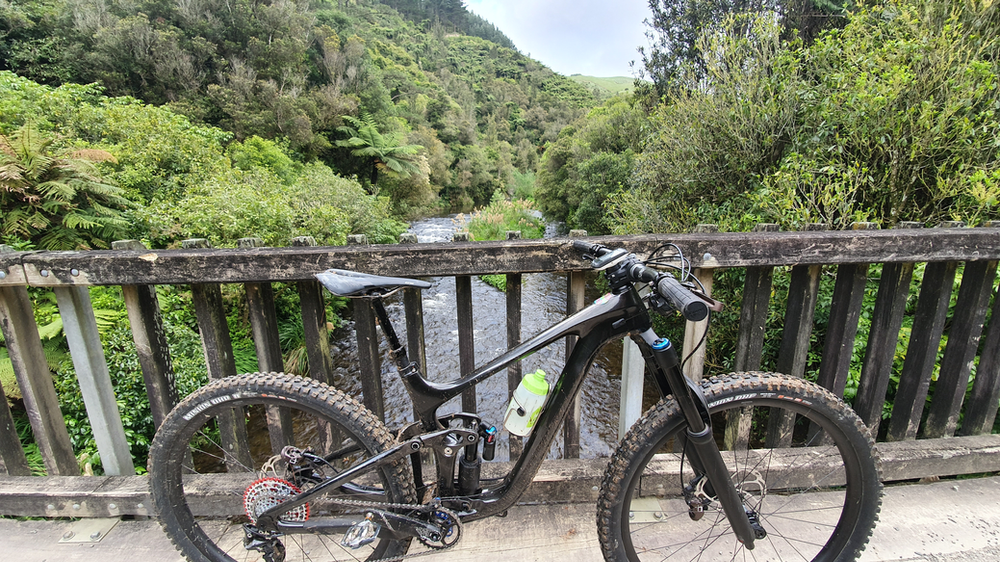 giant reign 29er review