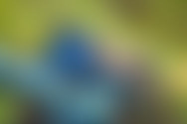 BrakeAce Launches New PF2 Wireless Brake Sensors