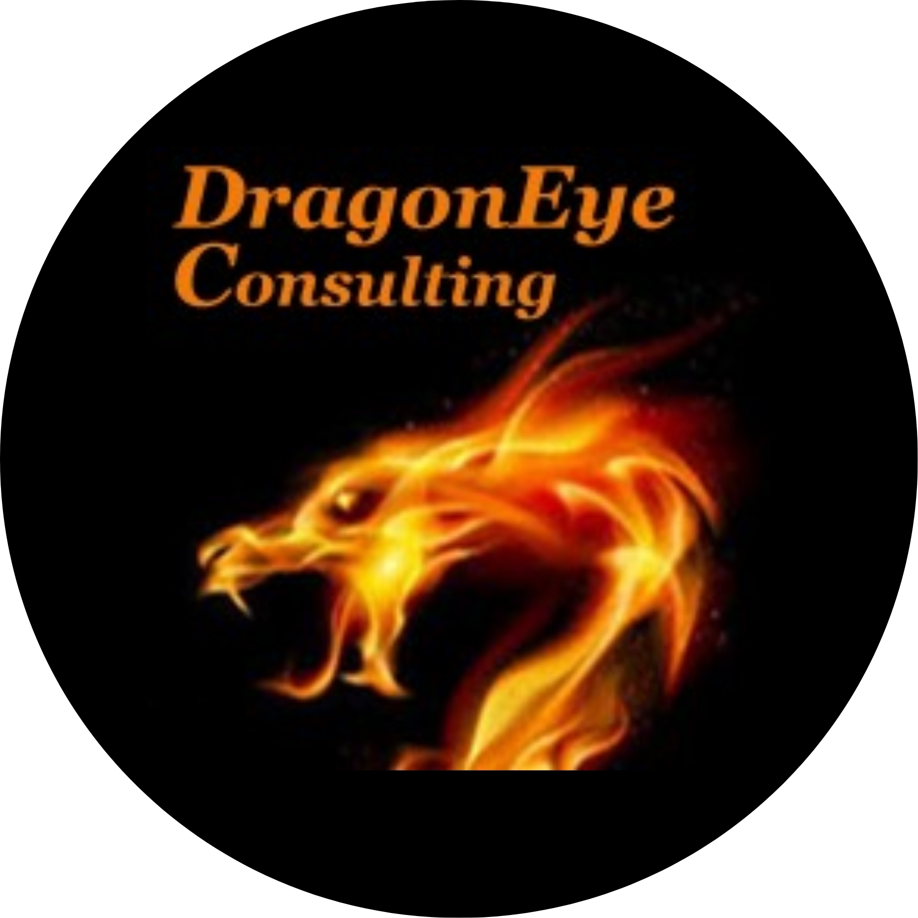 DragonEye Consulting