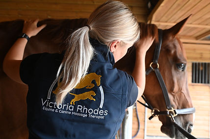 Victoria caring for a Horse