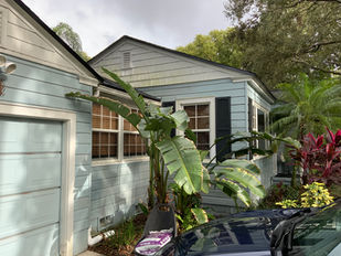 Orlando softwash house cleaning service on blue siding with algae and mildew removal