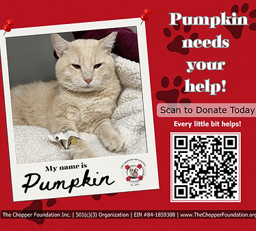 Pumpkin
