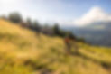 Disentis_2022_103_low veb.jpg