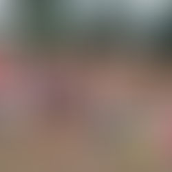 Presentazione Propaganda NUOTO e SINCRONIZZATO