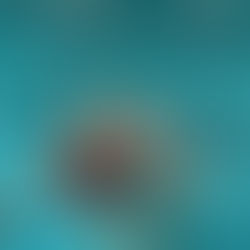 Partono i campionati italiani assoluti di sincro!