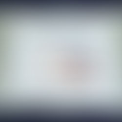 3° Trofeo Battistelli, Aurelia Nuoto vince il trofeo e miglior prestazione.