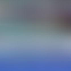 Open Day Aurelia Nuoto 2018/19