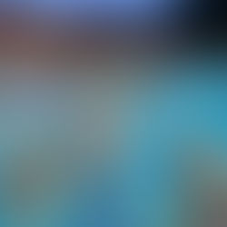 Collegiale di nuoto squadra élite alla Cittadella di Messina ARTICOLO UNIMESSINA