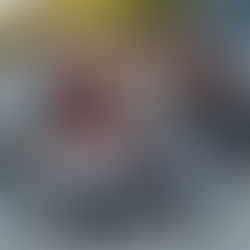 Il campionato assoluto sincro si è concluso, secondo posto come società civile!!