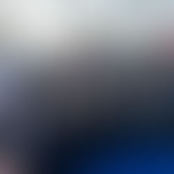 Campioni d'Italia, l'Unicusano Aurelia Nuoto di nuovo sul gradino più alto nel libero combinati!