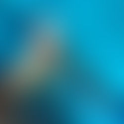 Assoluti sincro invernali, forza ragazzi fateci sognare!!