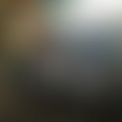 Meeting di Monterotondo l'Unicusano Aurelia Nuoto ottiene una pioggia di medaglie e vince il titolo!