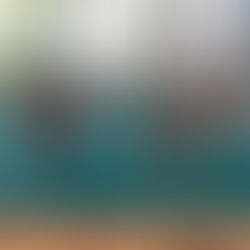 Trasferta del syncro della sede centrale a Mantova!