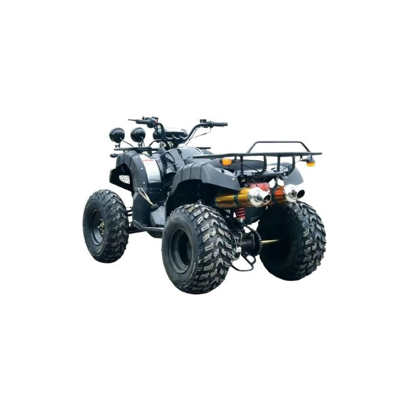 Thumbnail: Comfortable seats disc brake comes with spare parts seaside beach 250cc atv bike