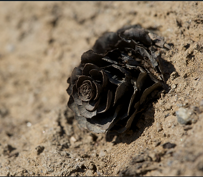 Screenshot 2025-10-03 113212.png