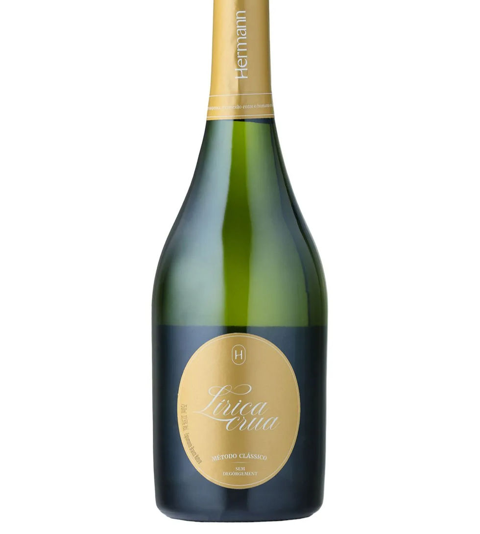 HERMANN - LIRICA CRUA