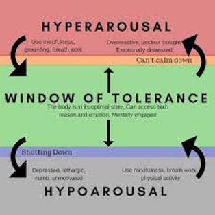Window Of Tolerance