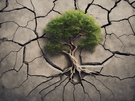 Driving Positive Change: Humanity Vision's Impactful Mission