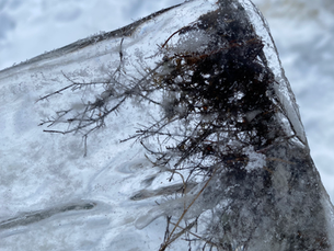 Overnattingstur for Bjørnene til Sæteren gård