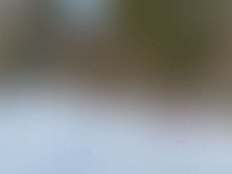 Overnattingstur med Bjørnene til Sæteren Gård