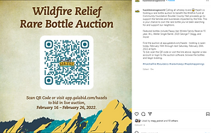 wildfire auction.PNG