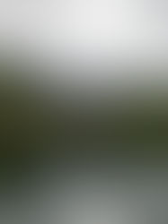 A day trip to Bondhus lake