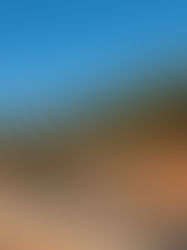 15.01 Sunday Ouzoud falls and the locals