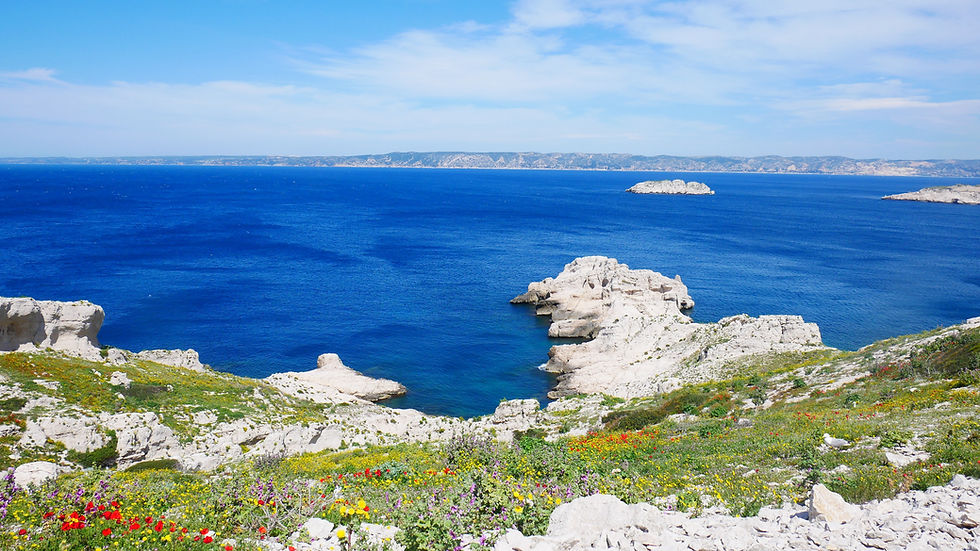 pexels-djé-marseille-7883777.jpg