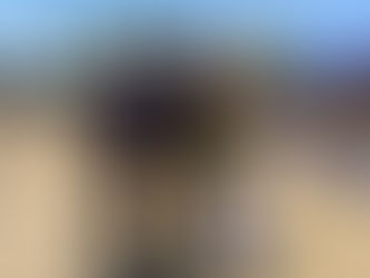 Brigada Juvenil Silvio de Paoli de Nuestra 13a Cía. Obtiene el Primer Lugar en Encuentro de Brigadas