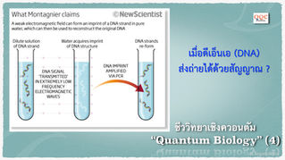 ควอนตัมกับสิ่ง “มีชีวิต”vs“ไม่มีชีวิต”  | Quantum Biology (4) | เมื่อปู่โนเบลโดนสอบ (Luc Montagnier)