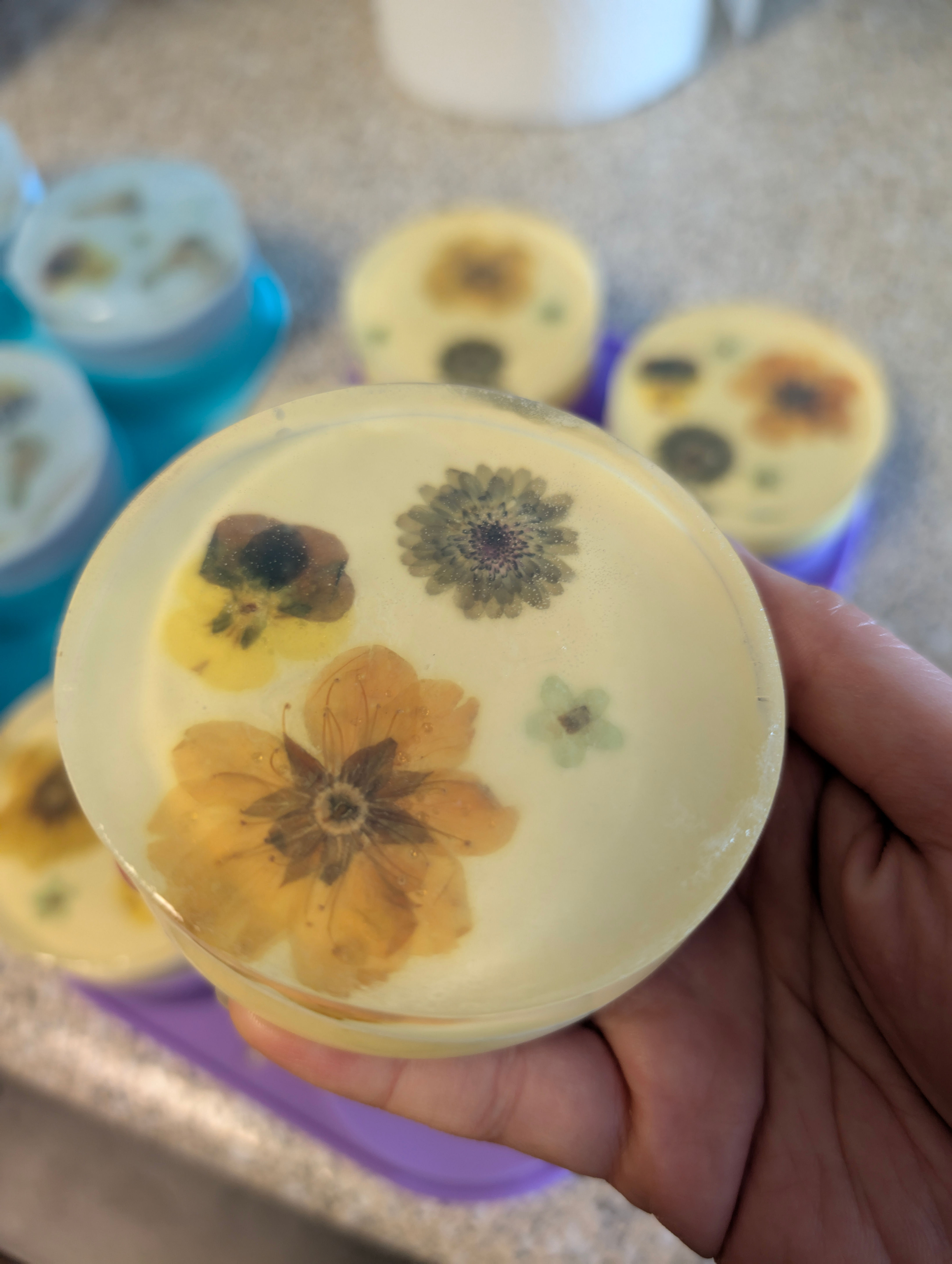 Pressed Flower Circular Coconut Milk Soap Bars