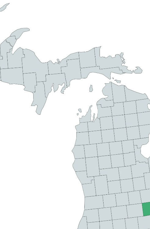 State of Michigan map