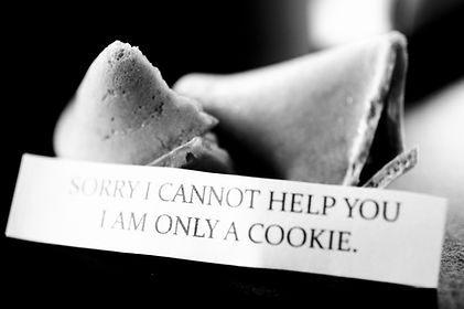 WOLFE DEVELOPE FINALS-7.jpg