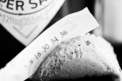 WOLFE DEVELOPE FINALS-3.jpg