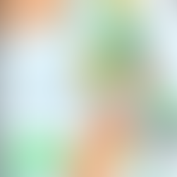 LAWSUIT CHALLENGES DESANTIS PLAN TO REDRAW MAPS