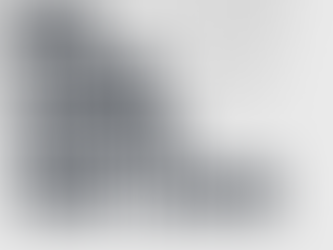 New Florida Supreme Court Justice