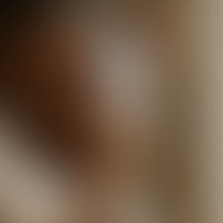 Pränatale Phase die Wurzelbildung beginnt