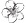 Aufblühen