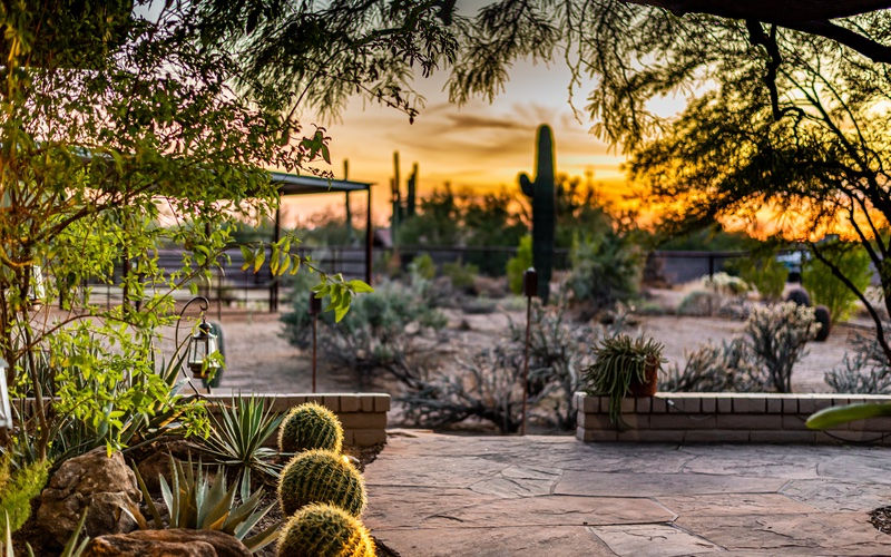 desert-landscaping-3.jpg