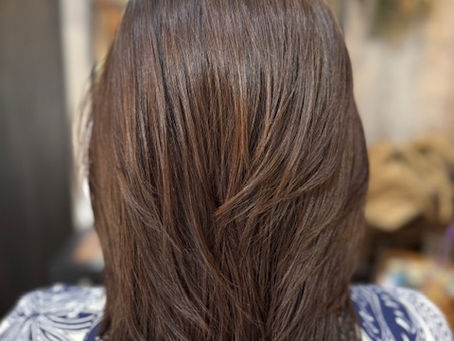 No.1845 「ブラくわし、島編」