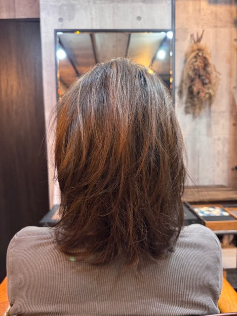 No.2036 「シャンプーあげます♪」