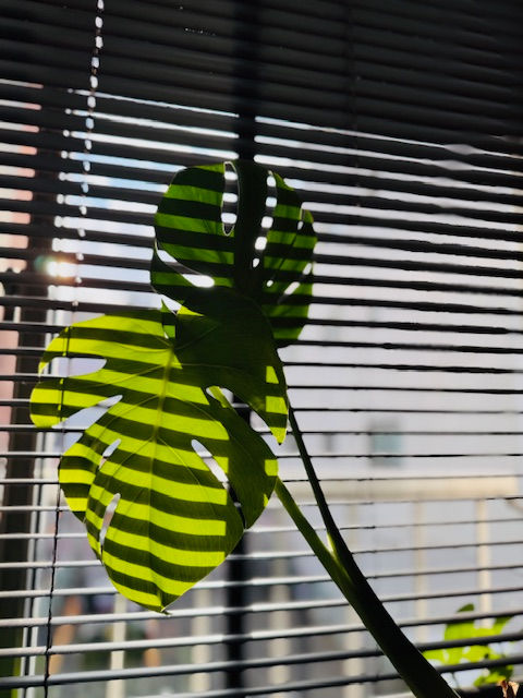 No.1939 「お前が言うか!?」