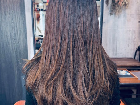 No.1919 「前に進むのみ」