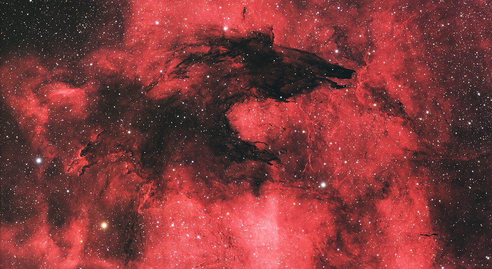 The Dark Wolf Nebula