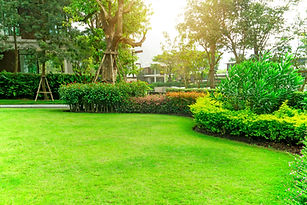AdobeStock_311137245.jpeg