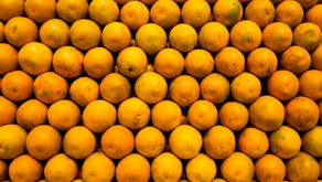ApexBrasil vai qualificar produtores e empresas para exportar frutas