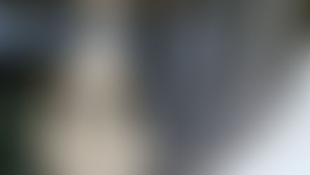 STF MANTÉM RESTRIÇÕES ÀS PROPAGANDAS ELEITORAIS PAGAS EM JORNAIS