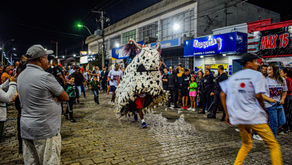 FESTA DA BUMBA MEU BOI LOTOU O CENTRO DA CIDADE
