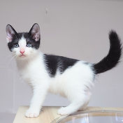 IMG_6156 2_edited.jpg